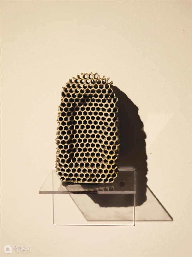 展览回顾 | 回响 ECHO 视频资讯 张嘉宁 ECHO 策展人 Curator 陆佳 Jia 艺术家 Artists 何艺雯 严许雨 张嘉宁 崇真艺客